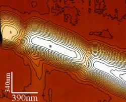 The topographical image of a GaN nanowire after a nanoindentation. 