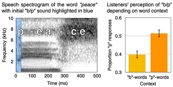 Illustrative diagram of research developing computational models that process language similarly to humans