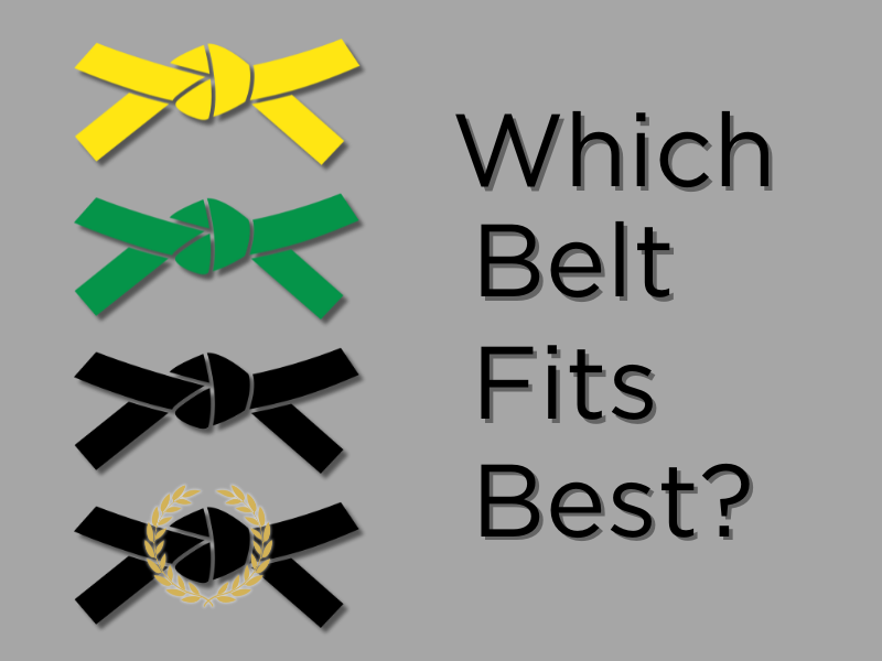 graphic of lean six sigma belt colors including yellow, green,black and master black belt with text overlay that reads "Which Belt Fits Best?"