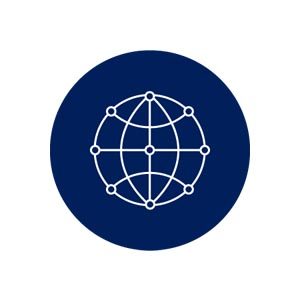 this graphic is a network of interconnecting lines 