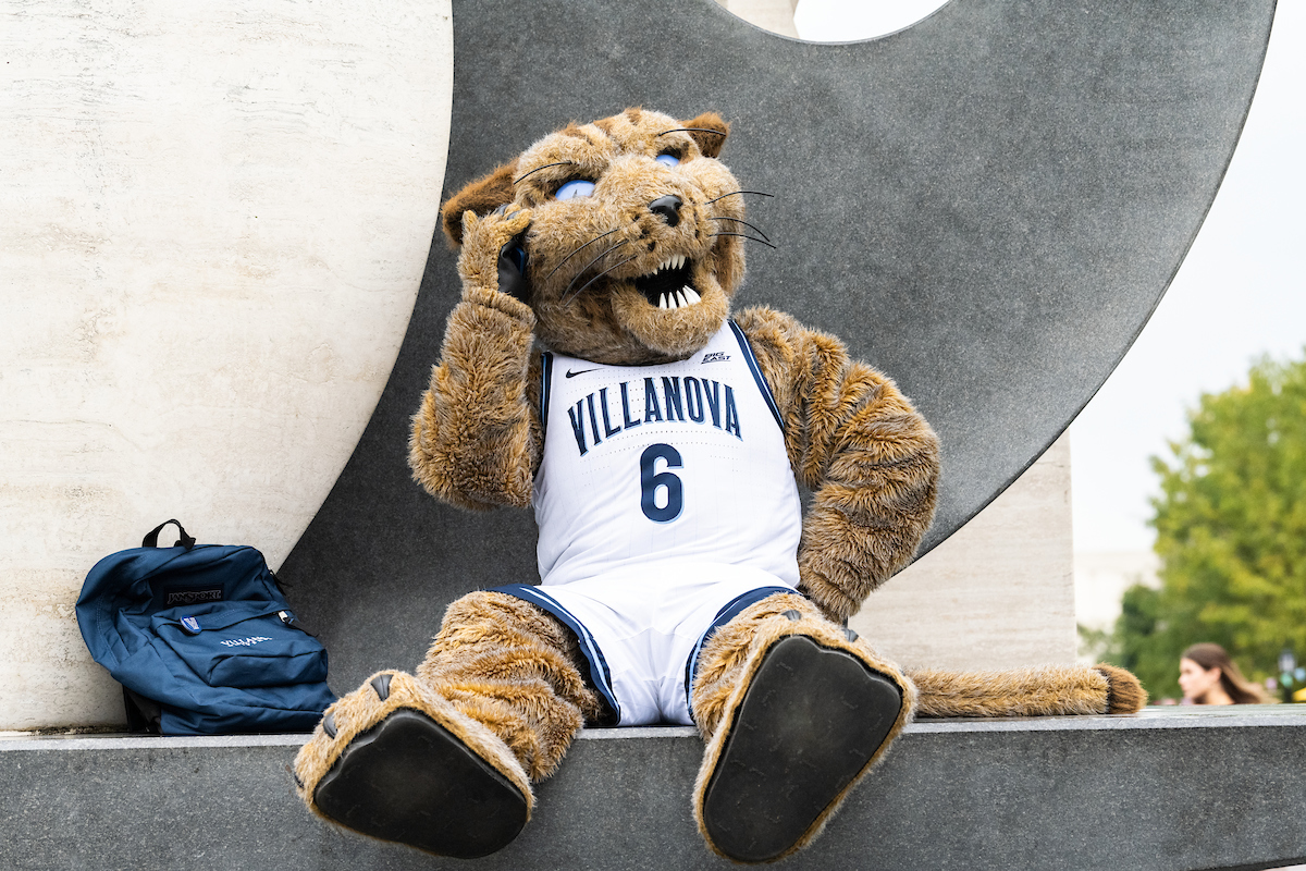 Will D. Cat sitting on the Awakening. 