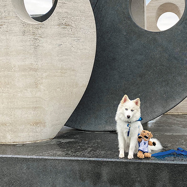 dog sitting on the stone Oreo sculpture